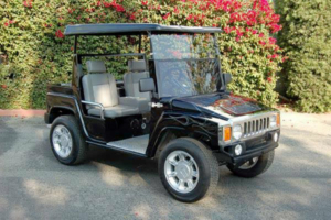 affordable golf cart rental, golf cart rent ocean ridge, cart rental ocean ridge