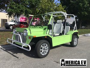 affordable golf cart rental, golf cart rent ocean ridge, cart rental ocean ridge