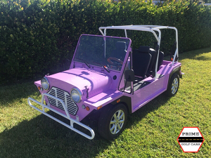 affordable golf cart rental, golf cart rent ocean ridge, cart rental ocean ridge