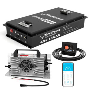 newtipower lithium battery, lithium battery special, golf cart